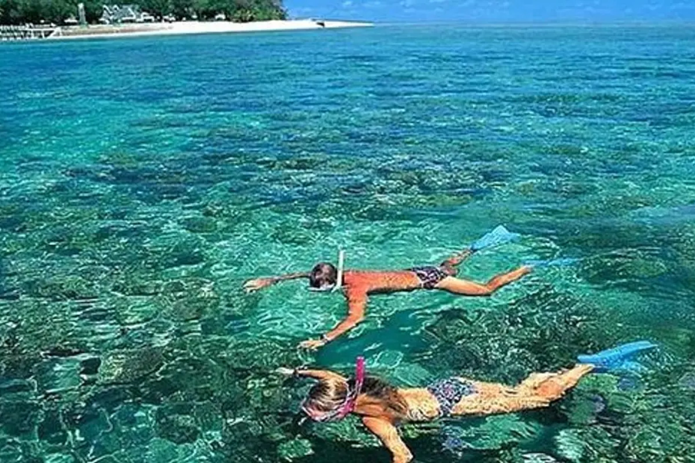 Cham Islands Snorkeling Tour by SpeedBoat from Da Nang